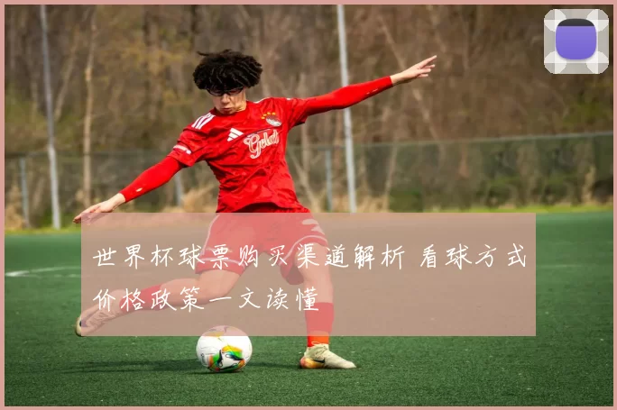 世界杯球票购买渠道解析 看球方式价格政策一文读懂